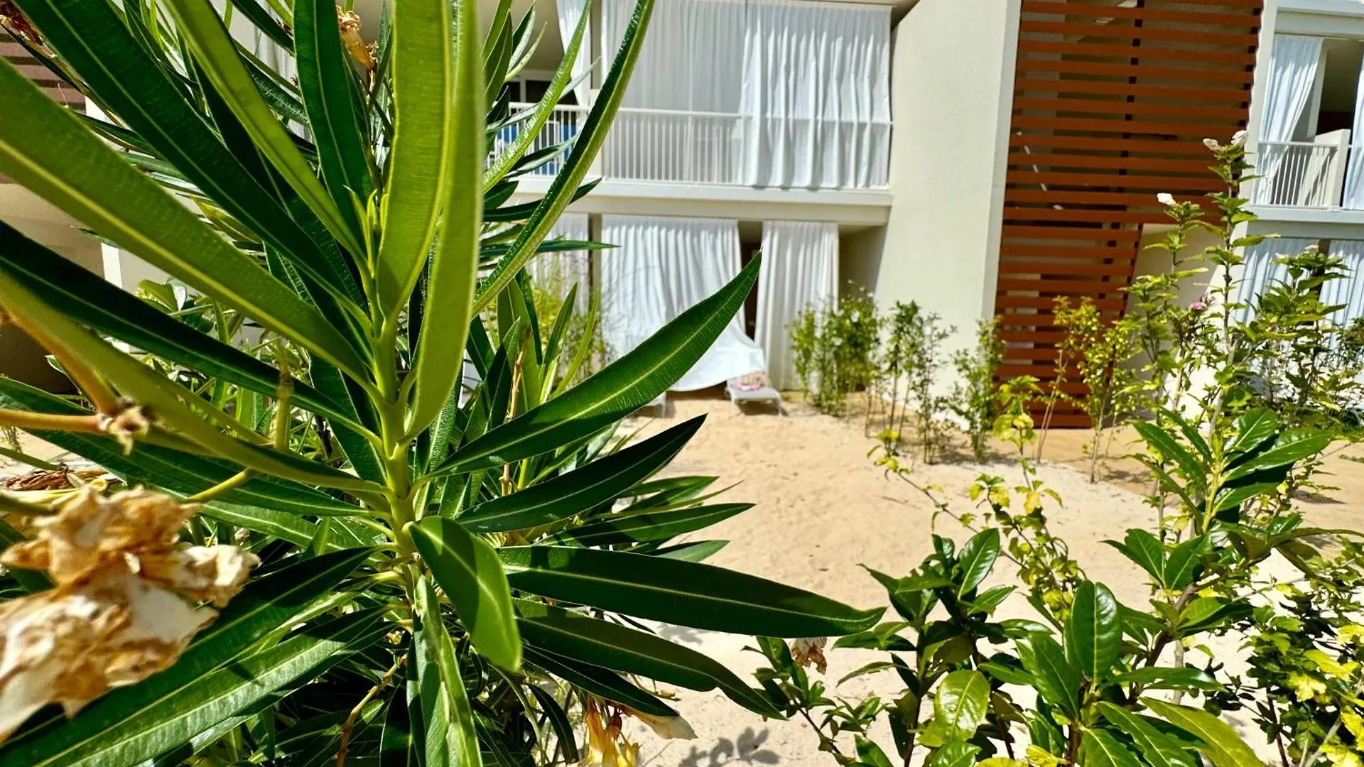 Ginevra Vittoria'S House - Wave Island - Jesolo Lido Apartment Lido di Jesolo